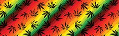 Cannabis Canvas
